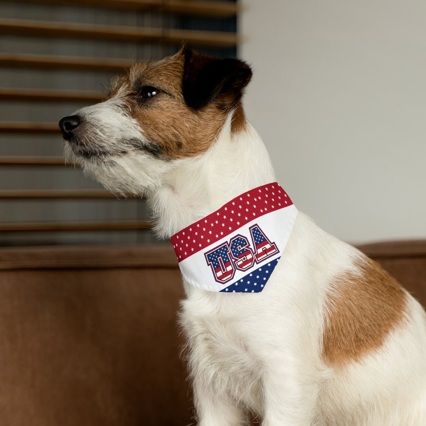 This fastener ensures that the bandana stays in place and fits correctly on your pet, regardless of their activities. The collar itself is a sleek and adjustable black collar with a sturdy plastic buckle. It provides both comfort and security for your pet during their daily adventures.