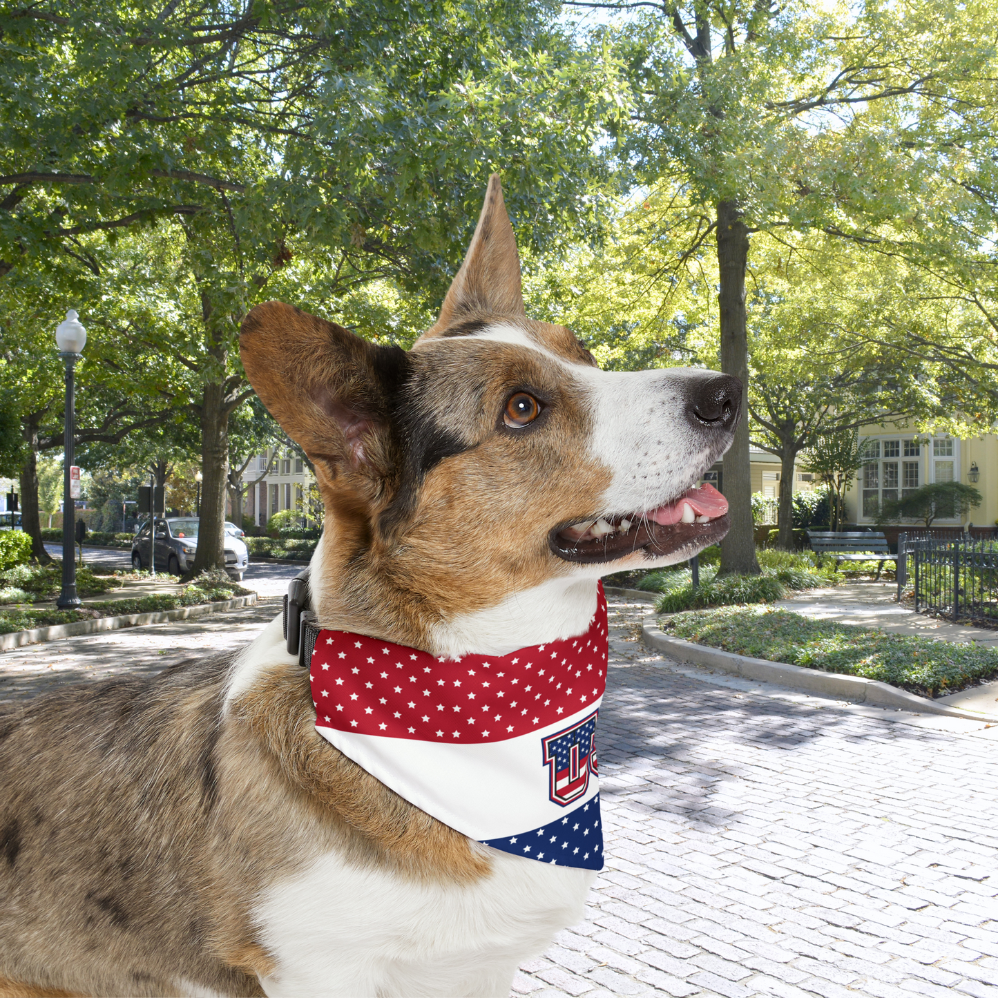 Adding a touch of patriotism, the design on the bandana collar proudly displays the letters "USA," making it a perfect accessory for any patriotic occasion. To make your shopping experience hassle-free, we are delighted to offer free delivery inside the U.S. of this bandana collar.